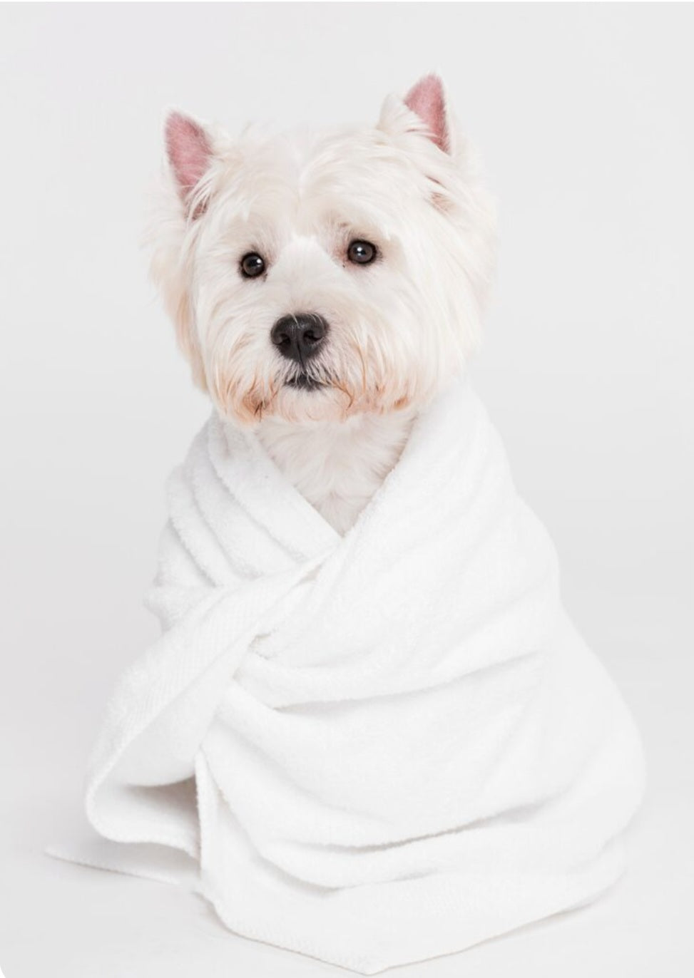 Hexiderm Shampoo (Lyphra France)