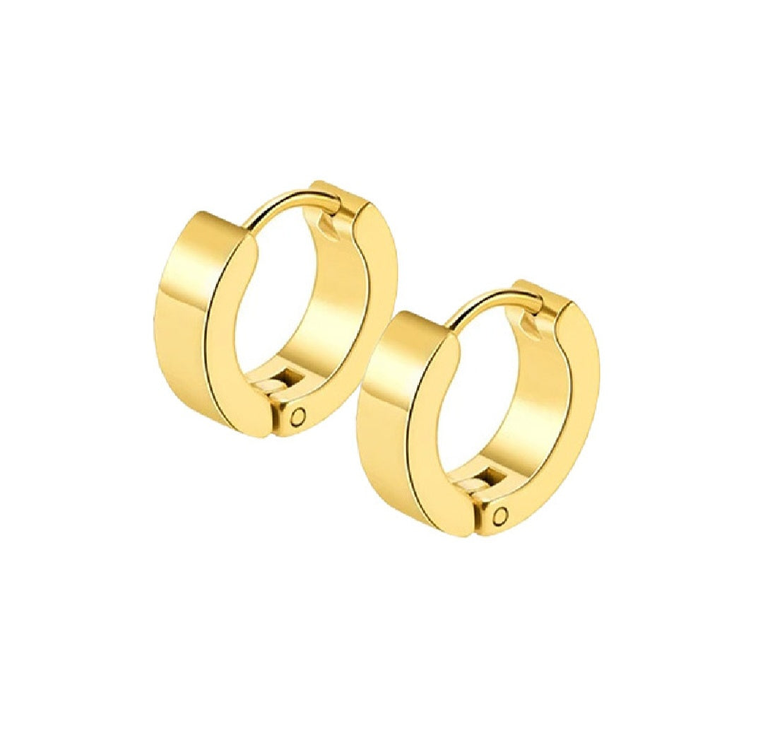 Statement Titanium Earrings